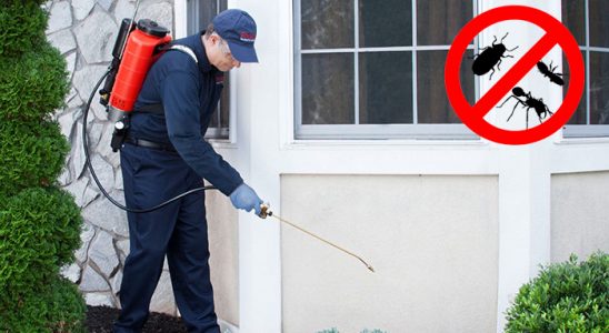 Boyalık Tahtakurusu İlaçlama böcek ilaçlama ve haşere kontrolü — ilaclama-tr.com